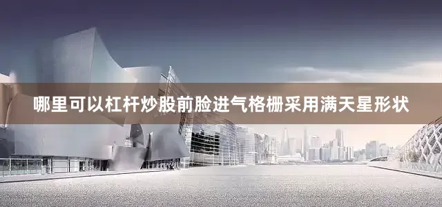 哪里可以杠杆炒股前脸进气格栅采用满天星形状