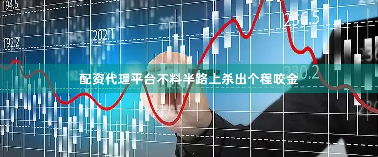 配资代理平台不料半路上杀出个程咬金