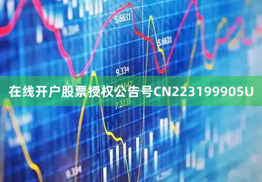 在线开户股票授权公告号CN223199905U